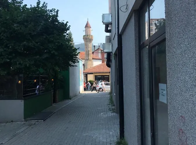 Centar Bruno Daire *