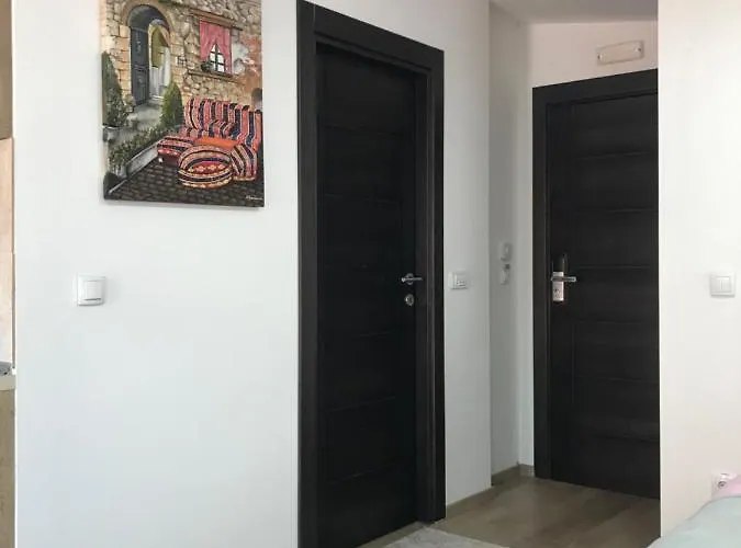 Centar Bruno Daire *